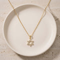 Petite Star of David Necklace in 925 Sterling Silver - Gold, Pavé